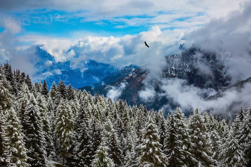 Evergreen forests in the valley covered with the first snow. On the Alpine Pass Giau of the Dolomites first snow fell. New Years is soon