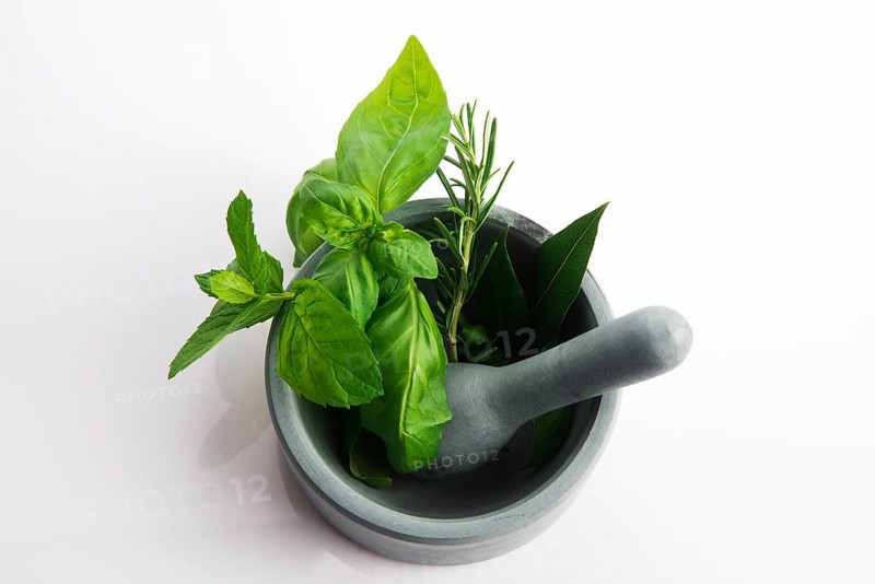 Mortar with herbs isolated on a white background