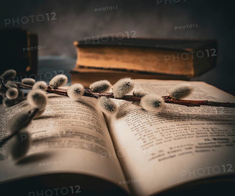 Old books and freshly cut willow catkins