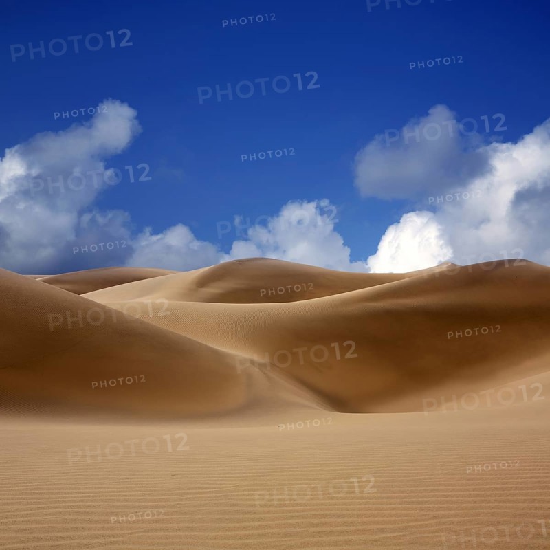 Desert dunes sand in Maspalomas Oasis Gran Canaria at Canary islands
