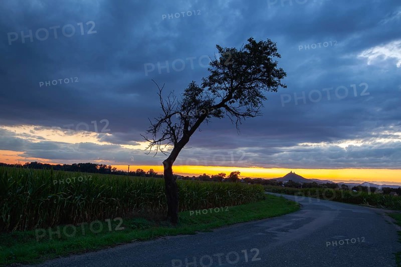 On the empty road between fields before harvesting at dramatic sunter. On the horizon silhouette of Hazmburk Castle, Czech Republic, Europe