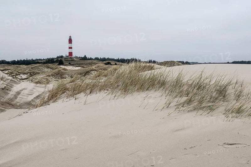 Dune landscape with lighthouse, Süddorf, Amrum, Schleswig-Holstein, Germany, Europe