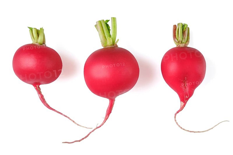 Three fresh red radishes are arranged side by side, each with bright green tops and distinct shapes. Their vibrant red skin contrasts against the white background, emphasizing their freshness