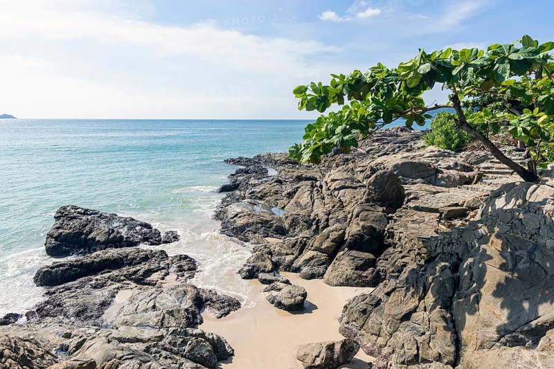 Secluded beach with palm trees and rocks on the coast facing the Indian Ocean. Patong, Kathu, Phuket Island, Thailand, Asia