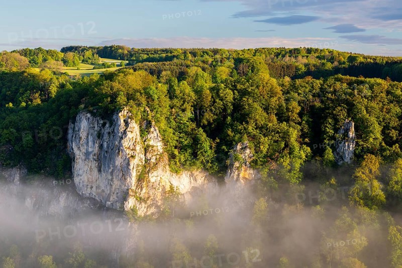 Limestone rock between mixed forest, fog, oak rock, Irndorf, Upper Danube nature park Park, Baden-Württemberg, Germany, Europe