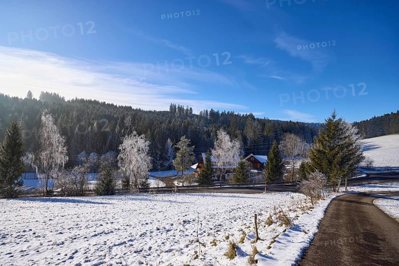 Winter landscape, snow, road, blue sky with veil clouds, Titisee-Neustadt, Black Forest, Breisgau-Hochschwarzwald district, Baden-Württemberg, Germany, Europe