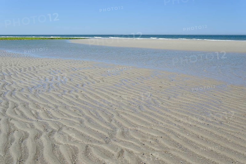 Beach at low tide with wave-like structure, current ripples in wet sand, blue sky, North Sea, Norderney, East Frisian Islands, Lower Saxony, Germany, Europe