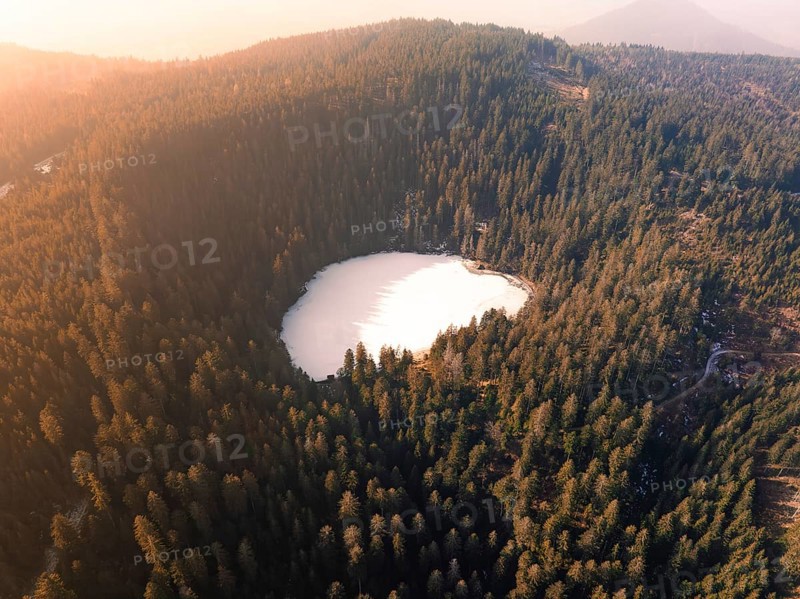 A tranquil lake surrounded by forests in the middle of a green landscape, Glaswaldsee, Bad Rippoldsau-Schapbach, Black Forest, Germany, Europe