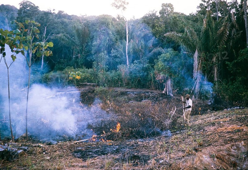 Burning bush vegetation to clear land for agriculture at Balandra, Trinidad 1963