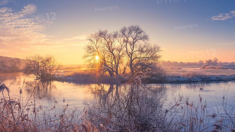 View of the river Leine at sunset, winter, snow, ice, frost, cold, season, cosy, panorama, landscape photo, nature photo, flora, fauna, landscape format, willow, grasses, flat land, sky, clouds, sunset, backlight, Neustadt am Rübenberge, Hanover region, Lower Saxony, Germany, Europe