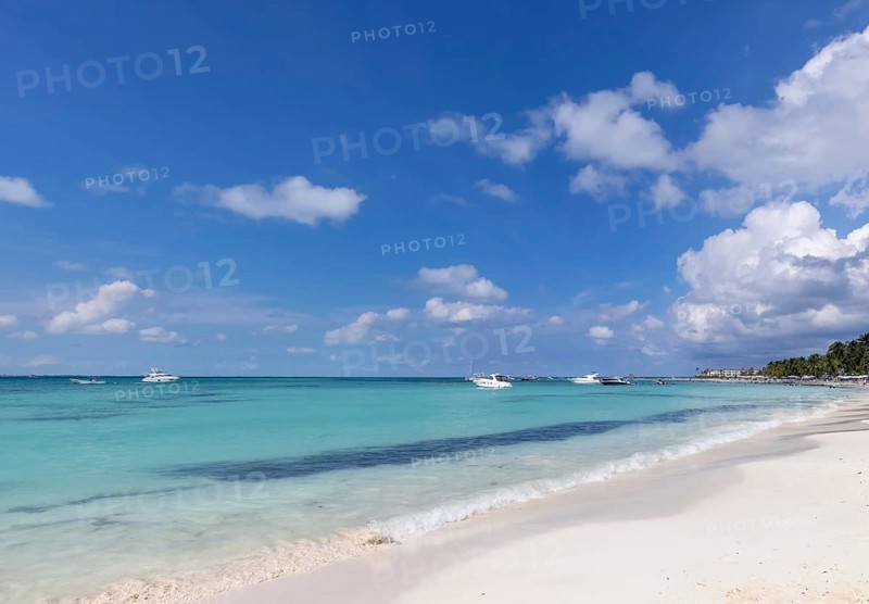 Mexico, Cancun, Isla Mujeres, Playa Norte beach with palms trees and sand waiting for tourists, Central America
