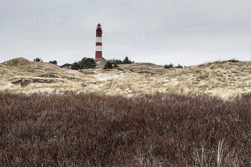 Dune landscape with lighthouse, Süddorf, Amrum, Schleswig-Holstein, Germany, Europe