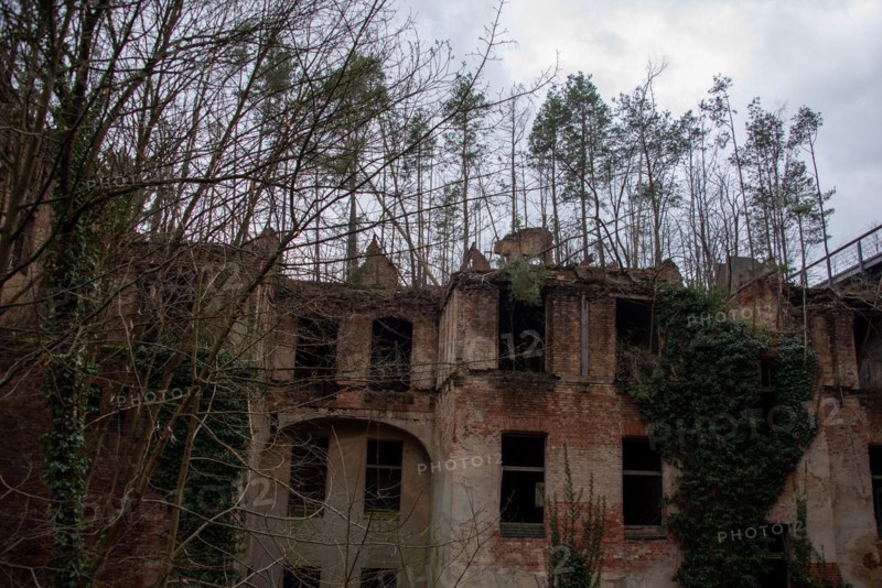 Remains of a destroyed building with empty window openings, surrounded by bare trees, Beelitz-Heilstätten, Beelitz, Brandenburg, Germany, Europe