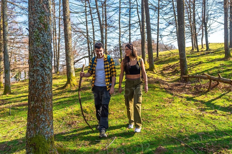 Hikers savoring a sunny day while walking along a scenic forest trail, surrounded by vibrant trees and enjoying nature's tranquility
