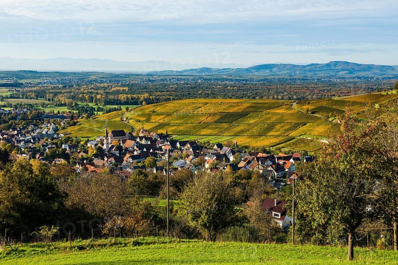 Hilly landscape and village with vineyards in autumn, Ebringen, near Freiburg im Breisgau, Markgräflerland, Black Forest, Baden-Württemberg, Germany, Europe