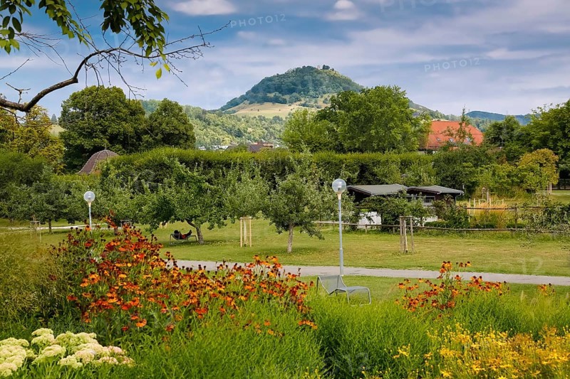 Pomologie Reutlingen, garden, public park, meadow, lawn, flowers, trees, lamps, footpath, behind Achalm, mountain, Reutlingen, Baden-Württemberg, Germany, Europe