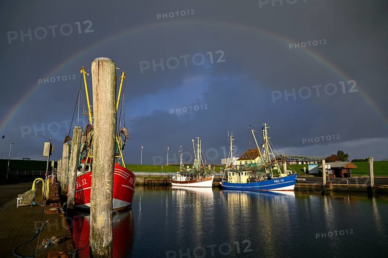 Fishing boats in the harbour of Tammensiel, rainbow, Pellworm Island, Schleswig-Holstein Wadden Sea National Park, North Frisia, Germany, Europe