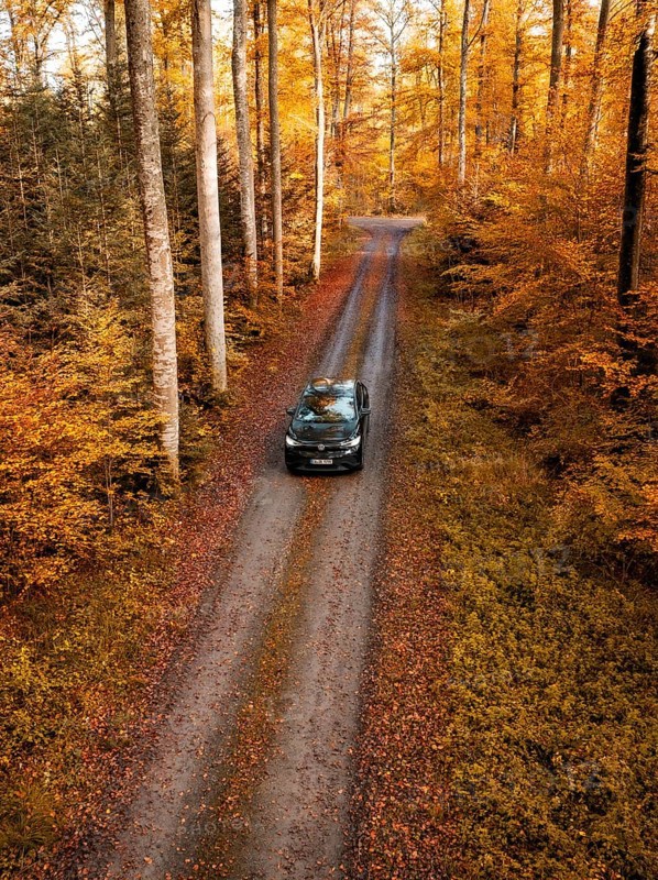 Vehicle on a lonely road in a dense, colourful autumn forest, electric car, VW ID5, Gechingen, Black Forest, Germany, Europe