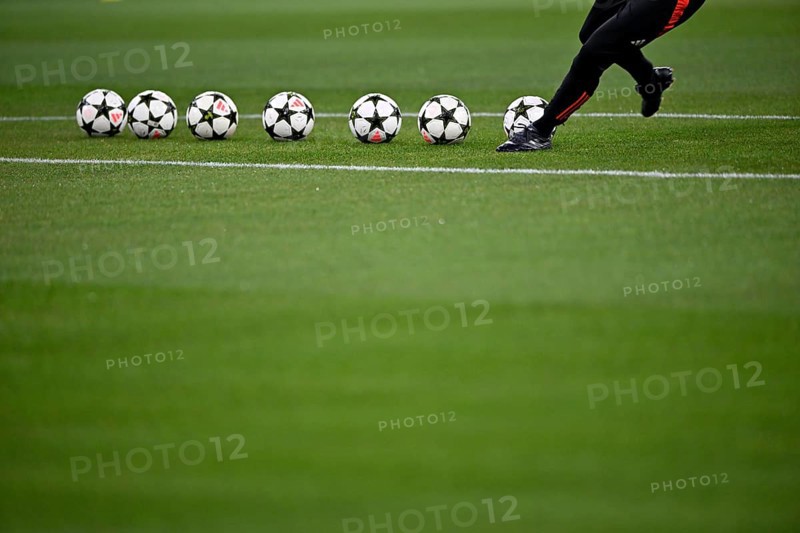 Shot practice, Adidas Derbystar Pro match balls lie on grass, Champions League, Allianz Arena, Munich, Bavaria, Germany, Europe