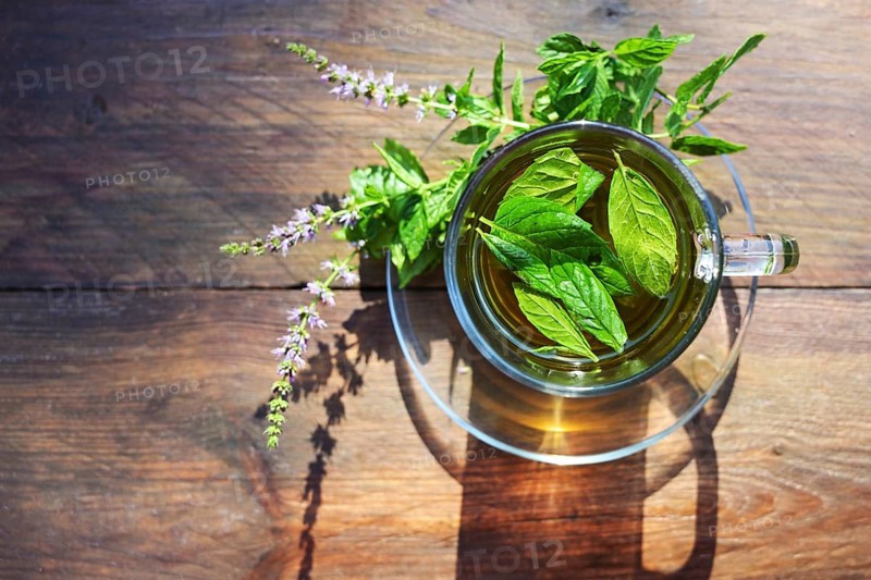 Herbal tea from fresh peppermint leaves and flowers in a glass cup on a rustic wooden table, high angle view from above, copy space, selected focus, narrow depth of field