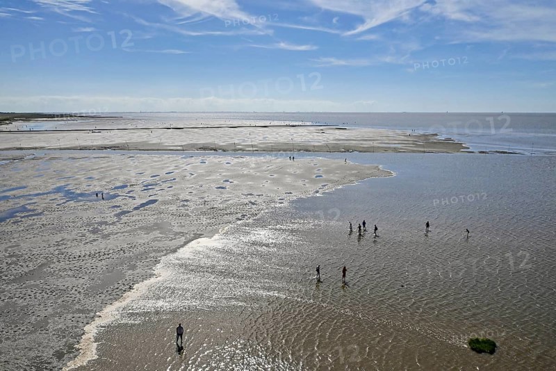 Wadden Sea seen from the lighthouse Obereversand, Dorum-Neufeld, Wurster North Sea coast, Lower Saxony, Germany, Europe