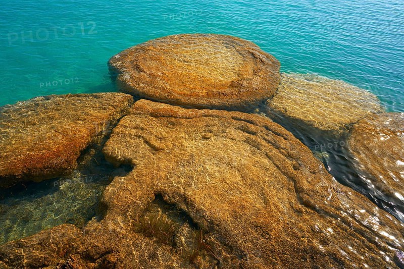 Estromatolitos Stromatolites in Bacalar Lagoon of Mexico in Quintana Roo