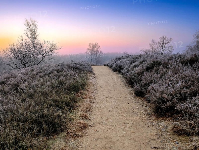 Hiking in winter in the frost in the Fischbeker Heide in Hamburg, on the Heidschnuckenweg trail