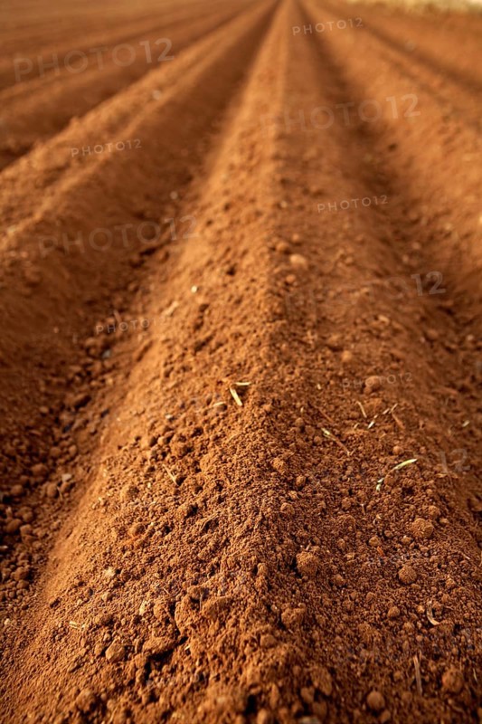 Ploughed red clay soil agriculture fields ready to sow