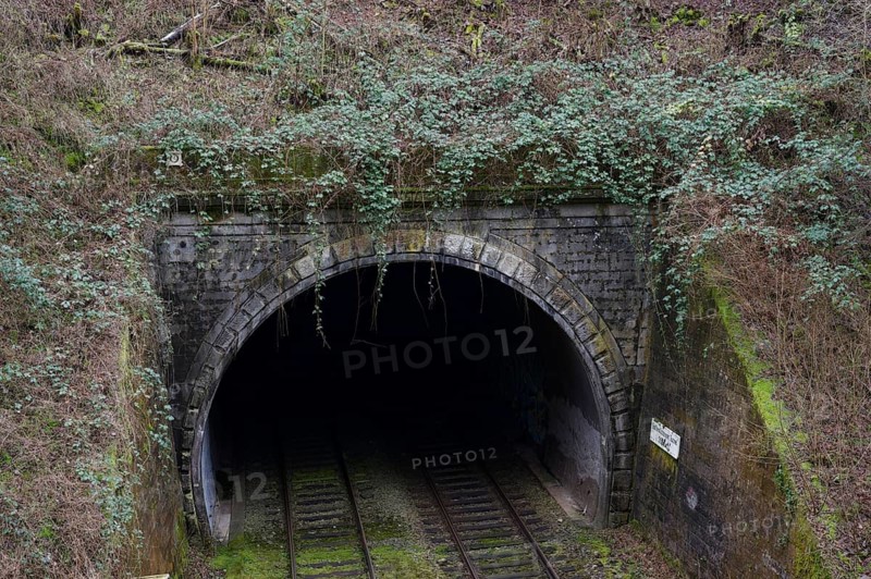 Railway tunnel in the Ohrenklinge, Westfrankenbahn, Gottwollshausen, regional railway, Deutsche Bahn, tunnel, railway, railway traffic, blackberry bushes, blackberries, Schwäbisch Hall, Germany, Europe
