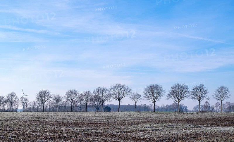 Winter landscape in the Münsterland