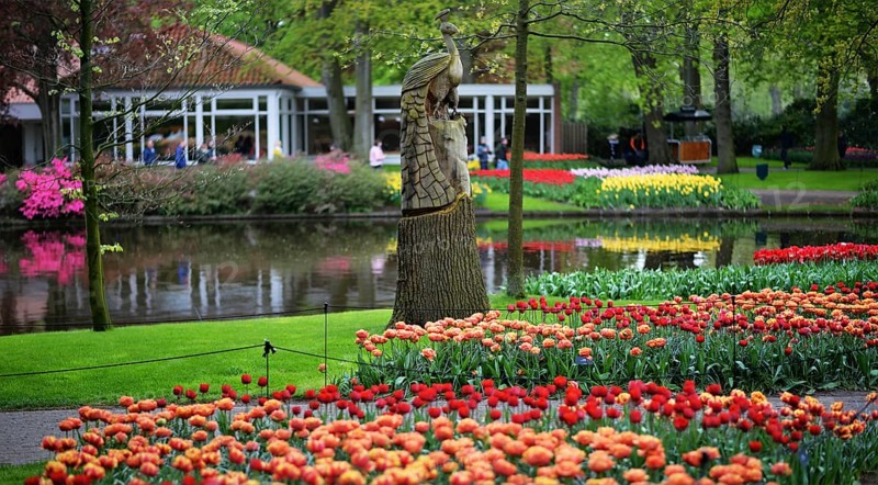 Keukenhof in the Netherlands has long been a magnet for international tourism, but it is particularly attractive during the tulip blossom season, as seen here on 28.4.2018 in Lisse, NDL, the Netherlands