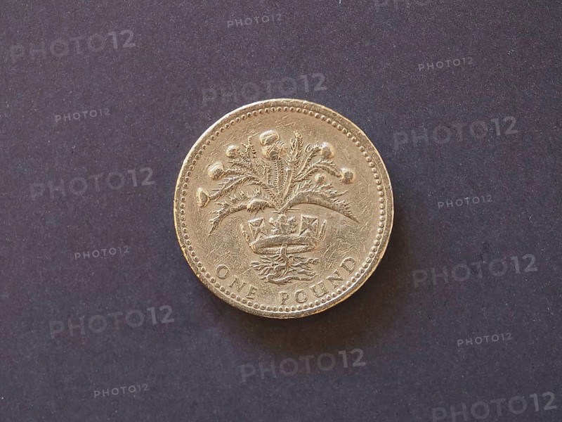 1 pound coin, United Kingdom, Europe