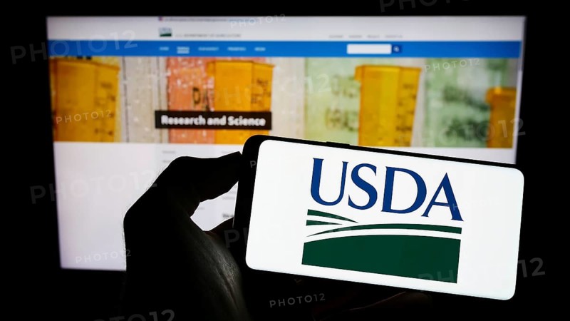 Stuttgart, Germany, 12-11-2022: Person holding cellphone with logo of United States Department of Agriculture (USDA) on screen in front of webpage. Focus on phone display, Europe