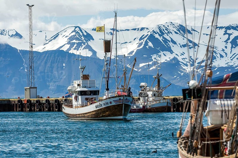 HUSAVIK, ICELAND, JUNE 29: Whale-watching boat enters Husavik harbor with anchored sailing boats and mountains in the background on June 29, 2013 in Husavik, Iceland, Europe