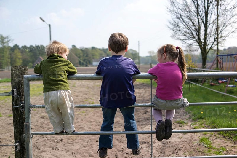 Three siblings climbing on a gate of a paddock