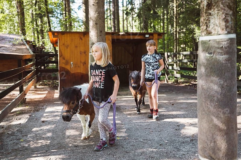 Children walking with ponies, small horses, holding them for a leash. Cute mini horses walking with children on the ranch
