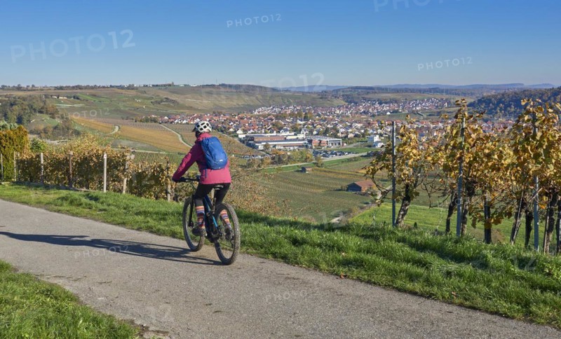Nice senior woman riding her electric mountain bike in the steep, autumn coloured vineyards of the Neckar valley, Baden-Württemberg, Germany, Europe