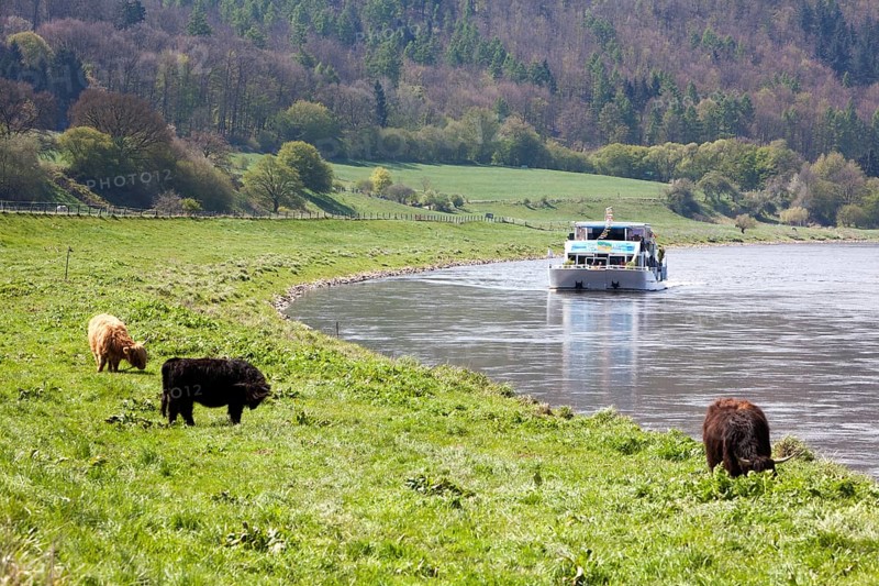 Boat trip on the River Weser near Oberweser, between Gewissenruh, Wahmbeck, Weser Uplands, Weserbergland, Reinhardswald, Hesse or Lower Saxony, Germany, Europe