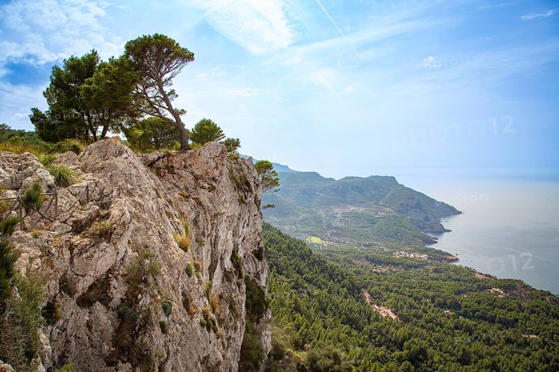 An impressive panorama of a rock face with trees above a coastline and the blue sea, view over cliffs Majorca in the west, Tramuntana Mountains, near Valldemossa, Majorca, Spain, Europe