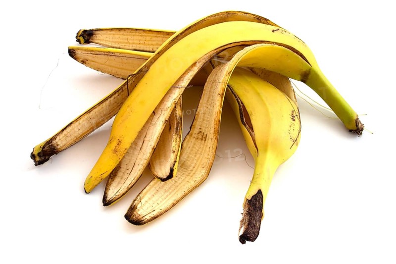 Banana peels isolated on white background. Material for compost, organic fertilizers