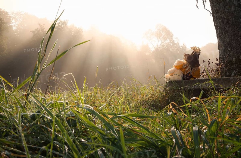 Partnership theme image with a teddy bear and a scarecrow embraced, sitting together on a wooden bench under a tree and enjoying the sun piercing the morning mist