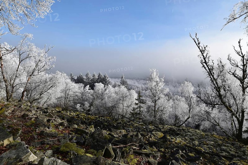 View from the summit ridge of the Mörschieder Burr in the Hunsrück-Hochwald National Park with rocks and hoarfrost on the trees on a sunny day with fog in the valley, Rhineland-Palatinate, Germany, Europe