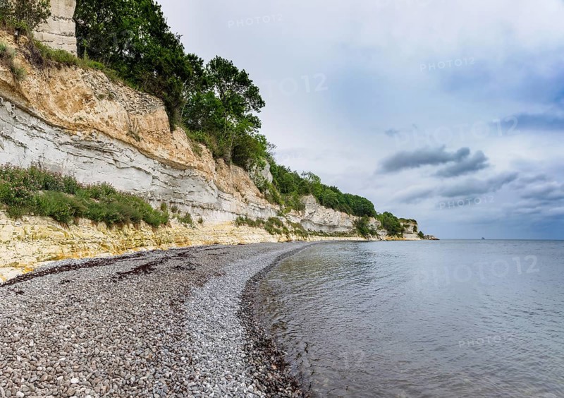 Stevns Klint, cliff on the Baltic Sea on Zealand, Denmark, Europe