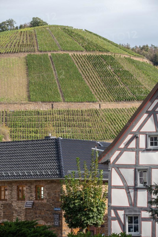 Vineyard terraces in the Ahr valley