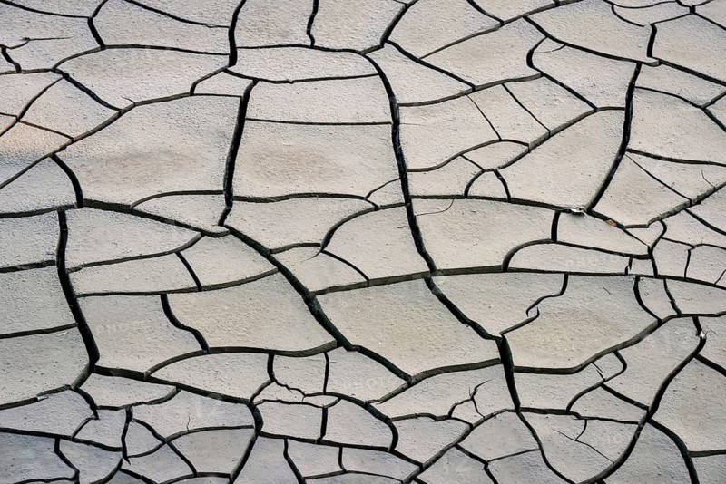 Cracked soil in Summer