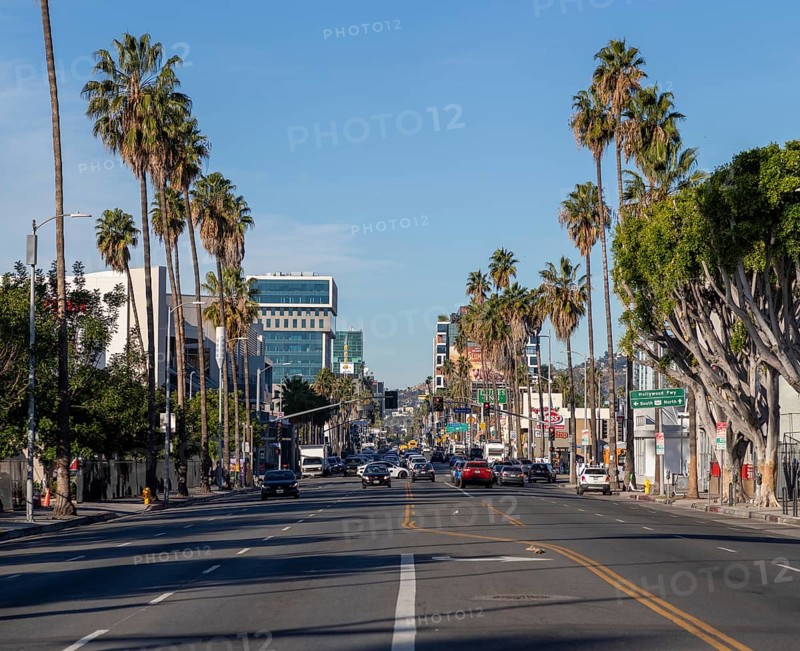 A picture of the east section of Sunset Boulevard