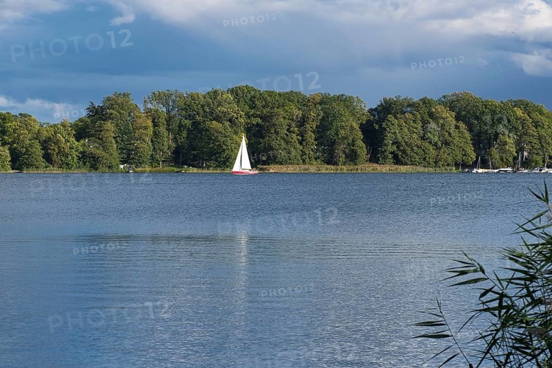 View over the Scharmützelsee with a sailing boat, Bad Saarow, Brandenburg, Germany, Europe