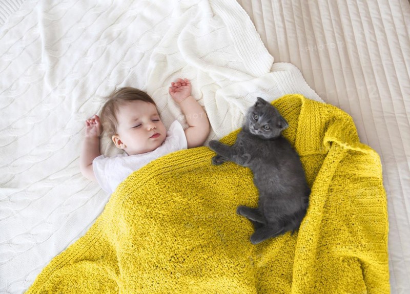 Close up portrait of a beautiful sleeping baby and kitten