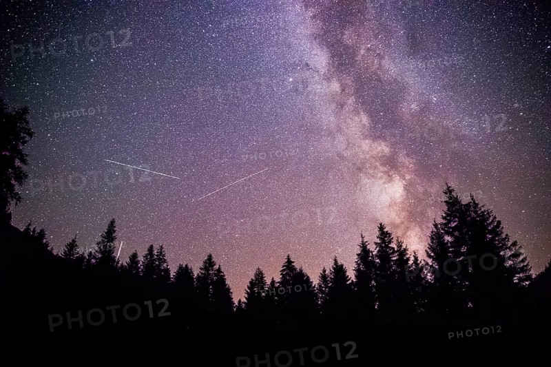 Milky way clear at night, silhouettes of trees