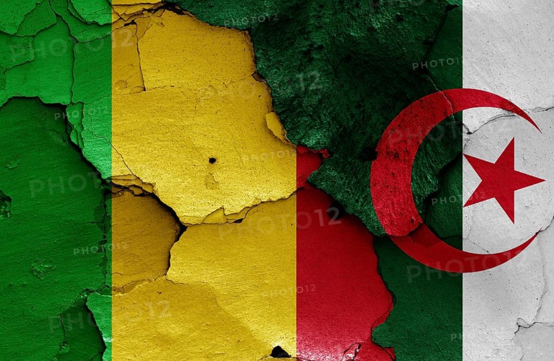Flags of Mali and Algeria painted on cracked wall